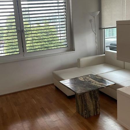 Linz Donau Ufer Stadt Mitte Экстерьер фото